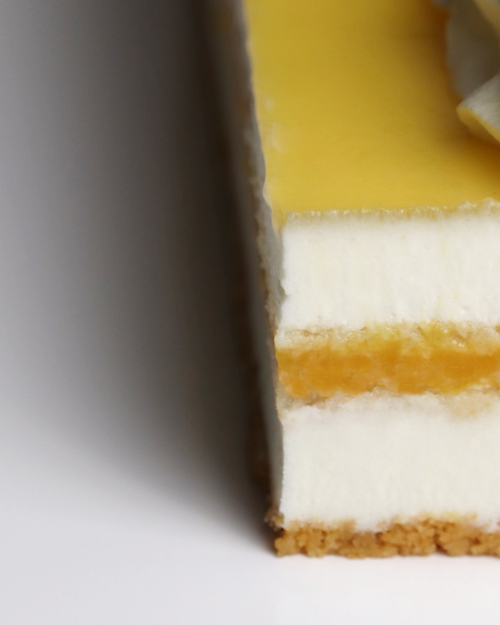 6吋 熱帶水果優格慕斯